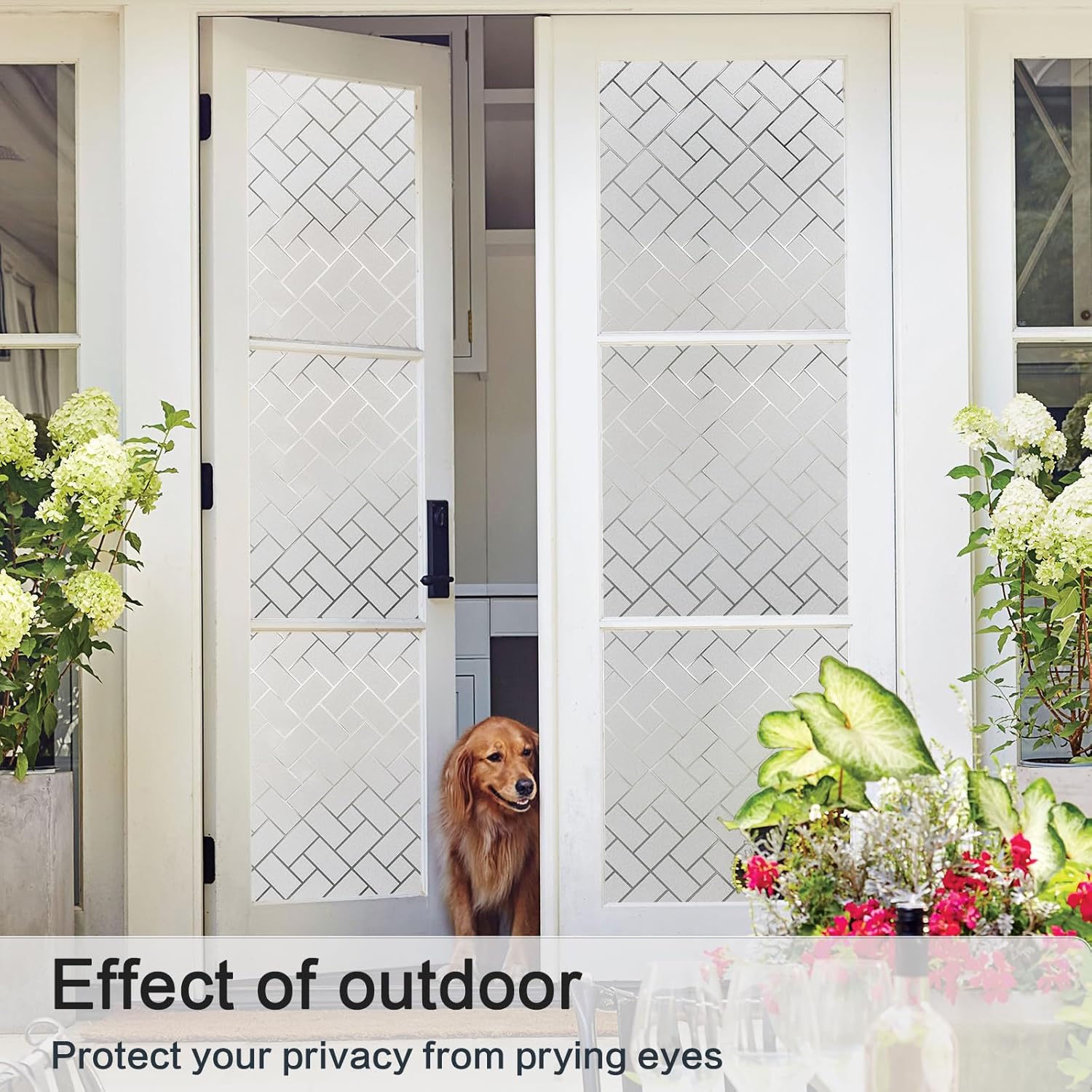 Coavas Window Films for Privacy Frosted Glass Static Cling UV Sun Blocking Window Tint Day and Night Frosting Privacy Film Vinyl Decorative Window Sticker for Home Door 29.5x118 inches – FACTORY SEALED